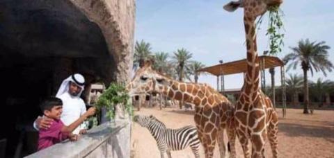 موسم الرياض حديقة الحيوان 2023 | الفعاليات،